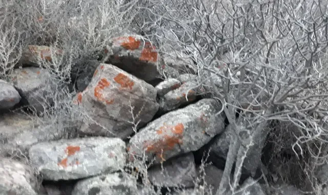 Nuraghe Senzu II