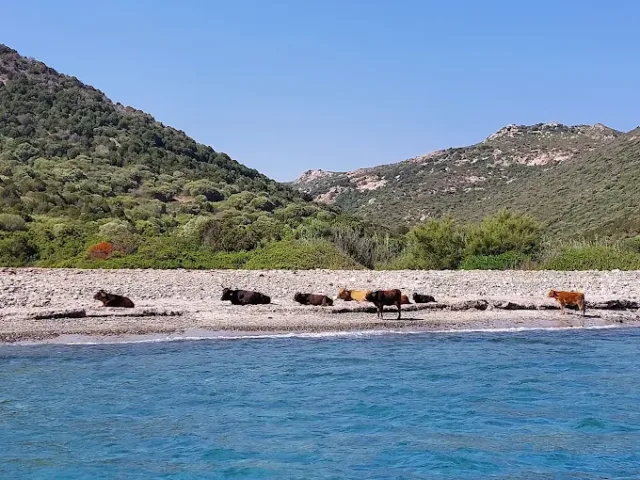Portu Pirastru