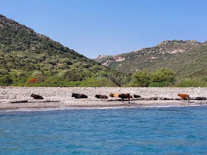 Portu Pirastru