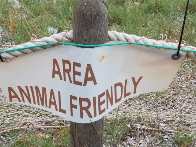 Area Animal Friendly