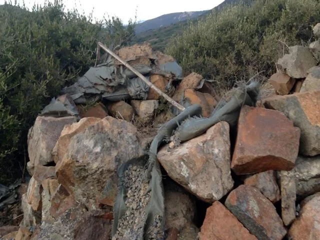 Nuraghe Maxinas
