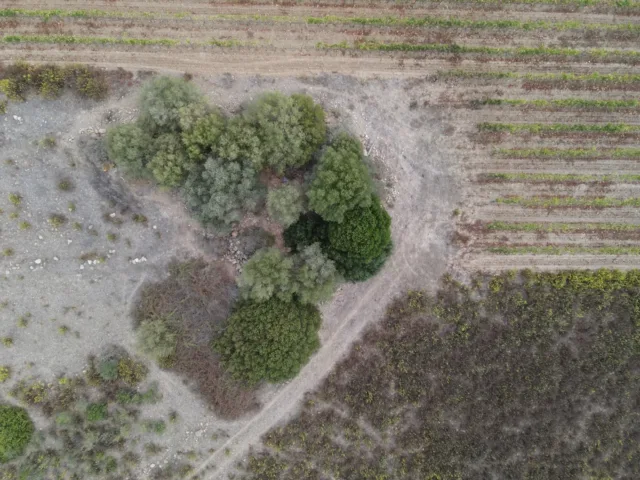 Nuraghe Piras