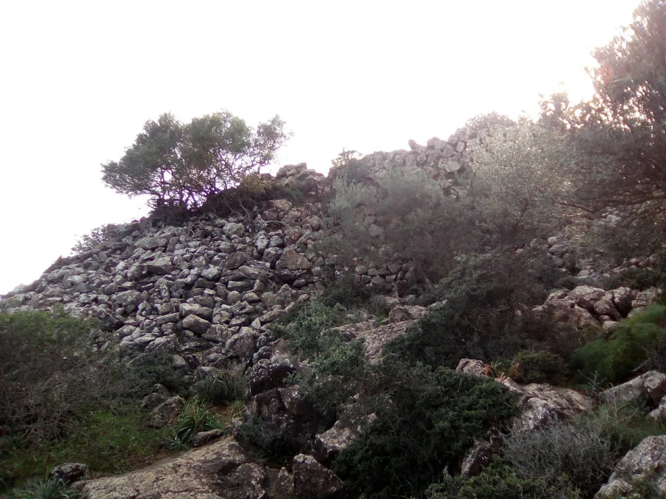 Nuraghe Monte Murecci