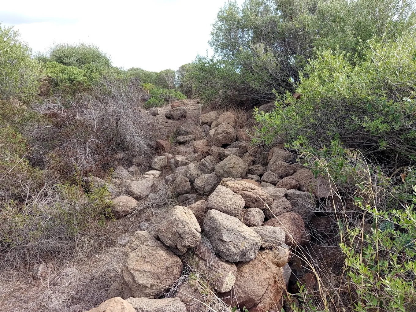 Nuraghe Su Medadeddu