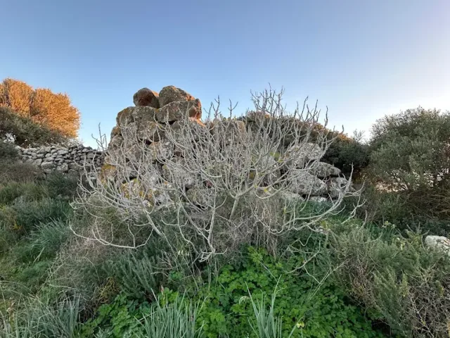 Nuraghe di Palmas