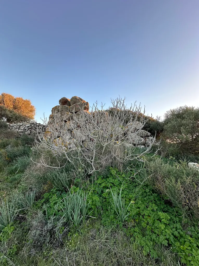 Nuraghe di Palmas