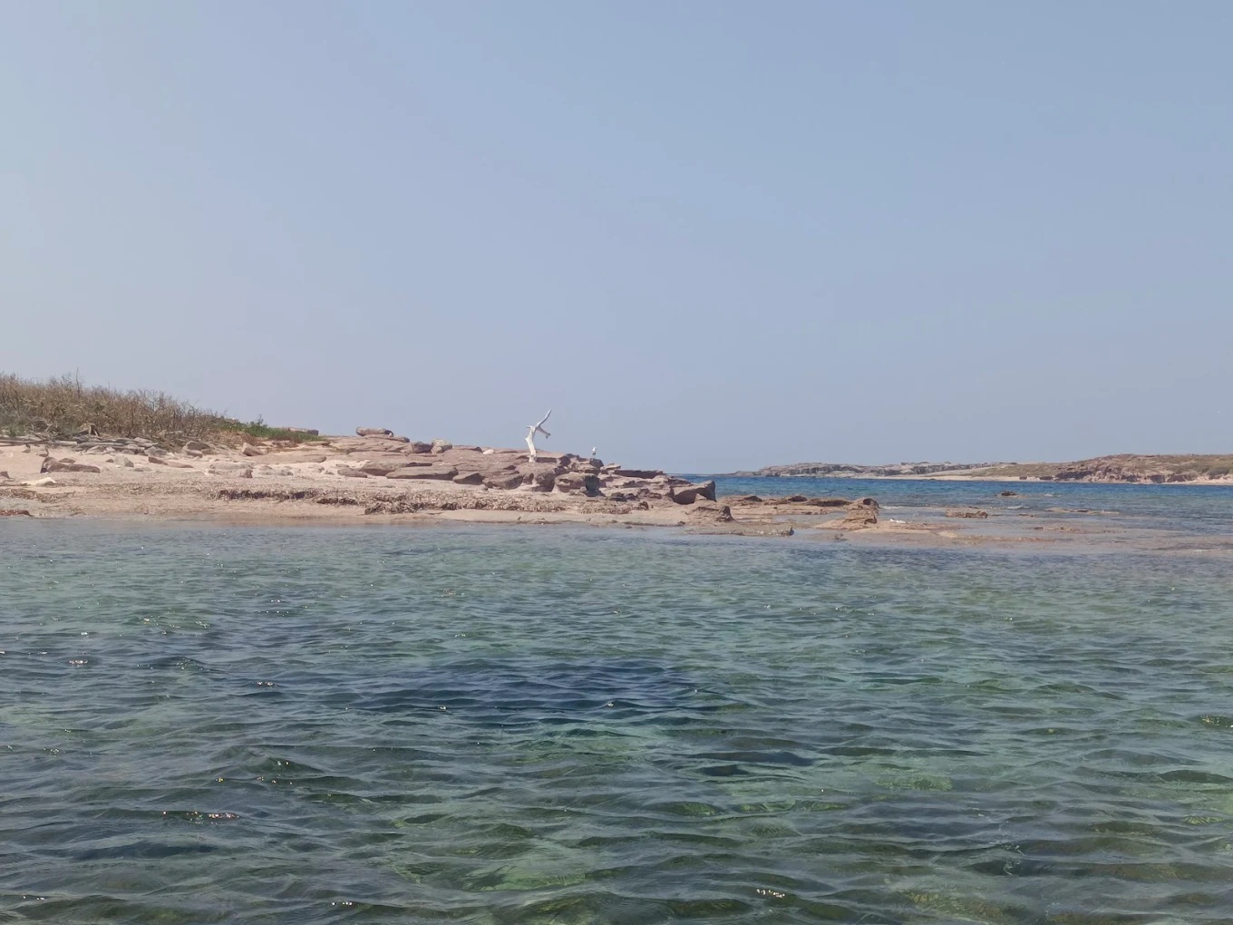 Isola dei Ratti