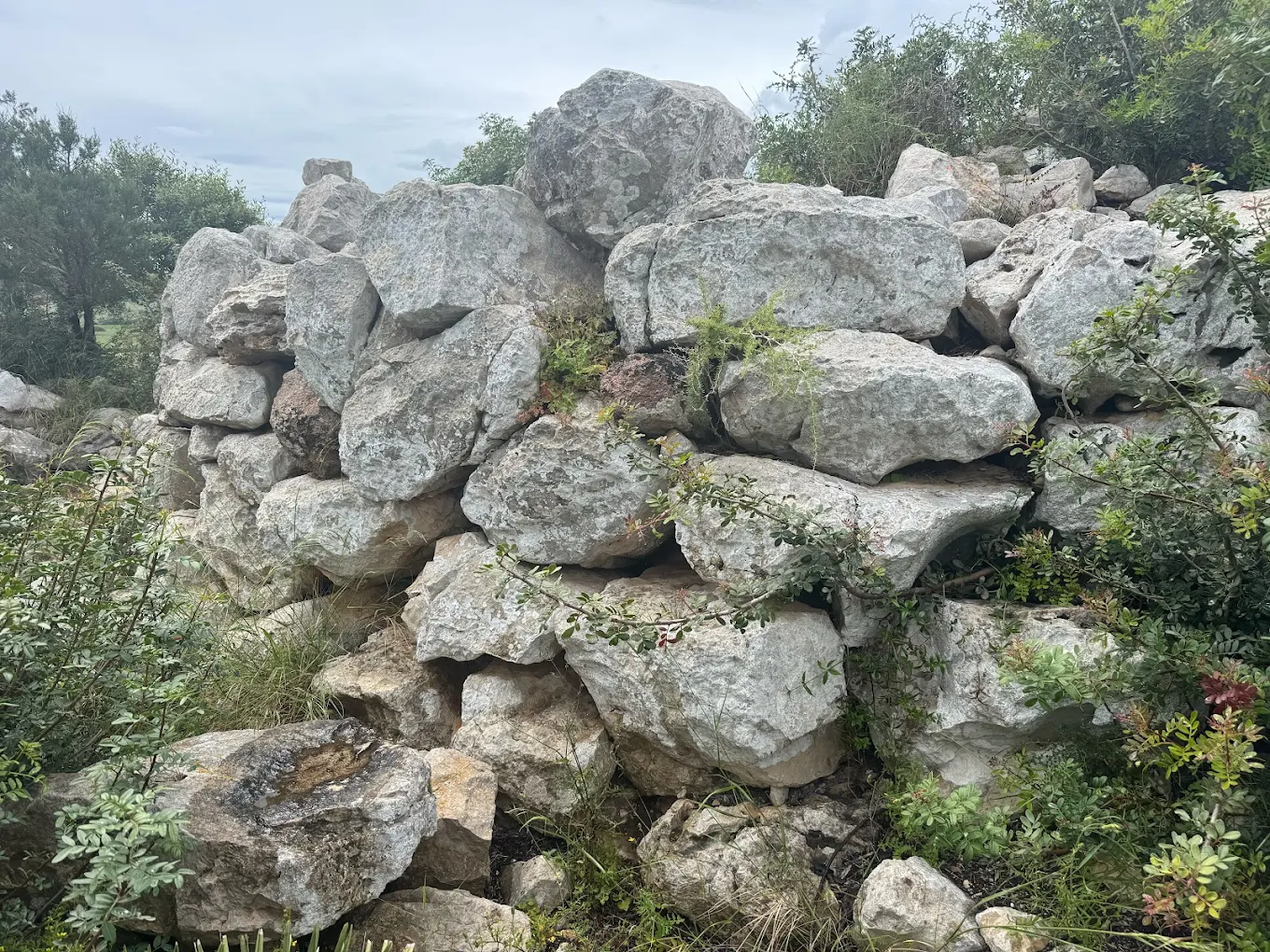 Nuraghe Feminedda