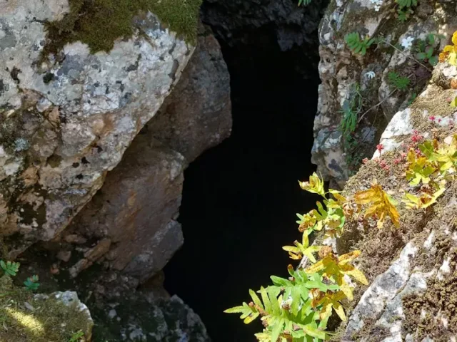 Grotta della Rana