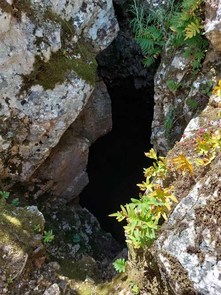 Grotta della Rana
