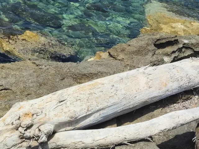 Roccia del Coccodrillo