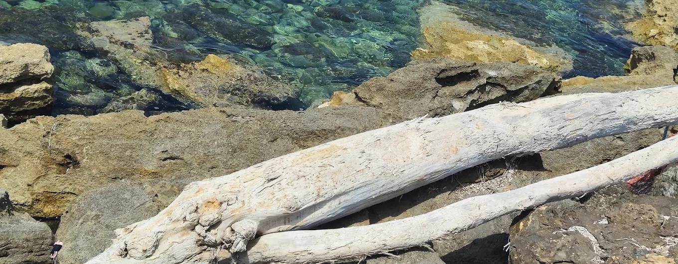 Roccia del Coccodrillo