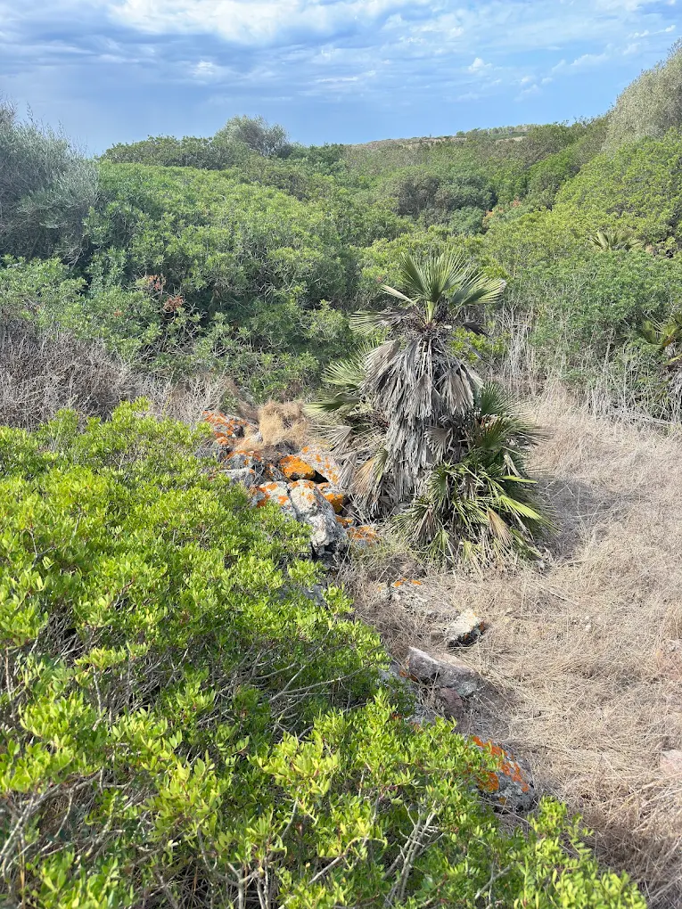 Nuraghe s'Ega de Ciredu