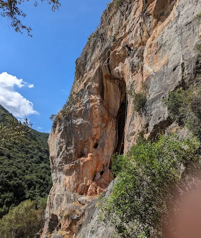 Arrampicantro