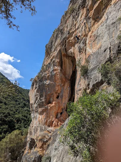 Arrampicantro