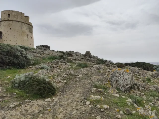 Villaggio Nuragico Turri