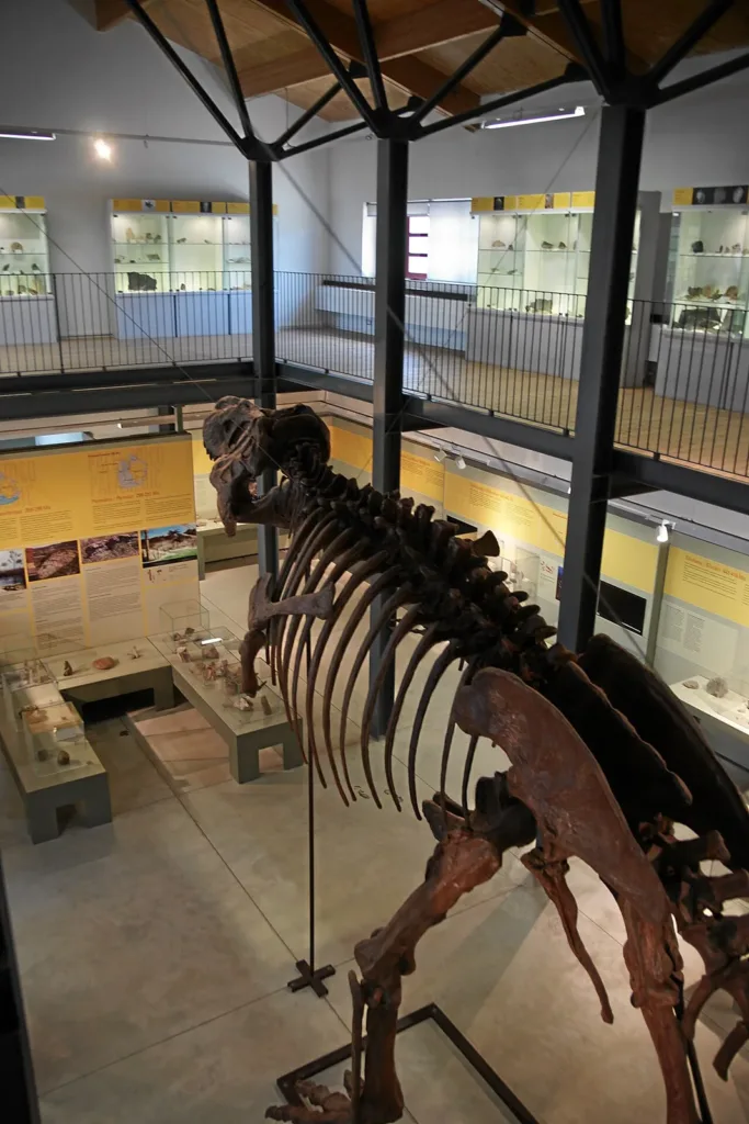 Ricostruzione di scheletro di dinosauro e ballatoio nel Museo PAS–Martel