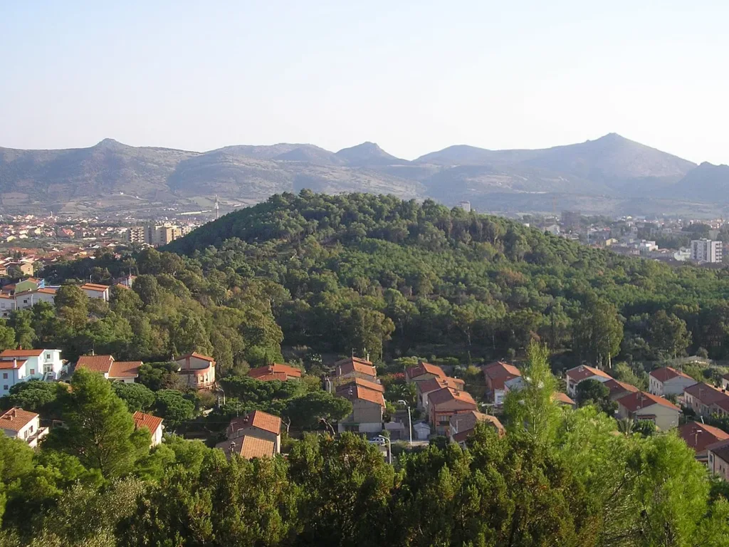 Collina alberata di Rosmarino circondata dalle case di Carbonia