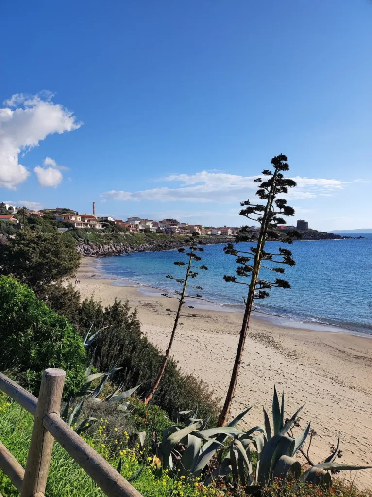 L’arenile di Portopaglietto visto dal percorso sopra la spiaggia