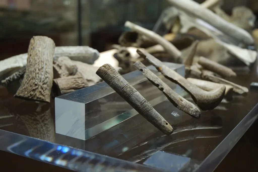 Reperti esposti al Museo archeologico Ferruccio Barreca; fotografia dell’allestimento storico