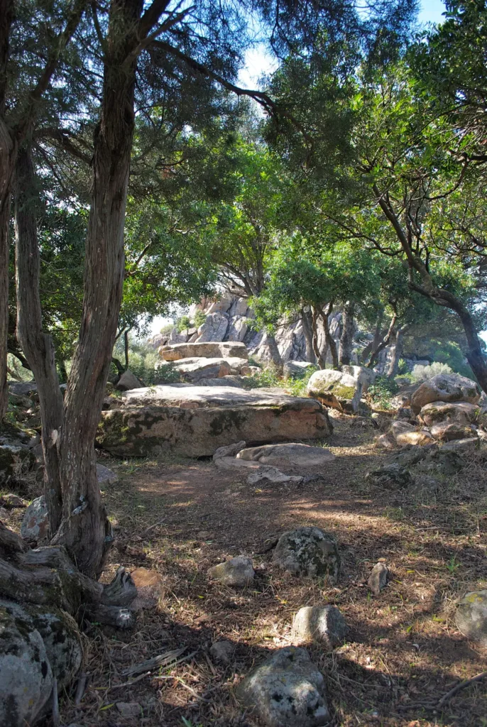 Copertura della tomba di Barrancu Mannu fra la vegetazione, nel 2015