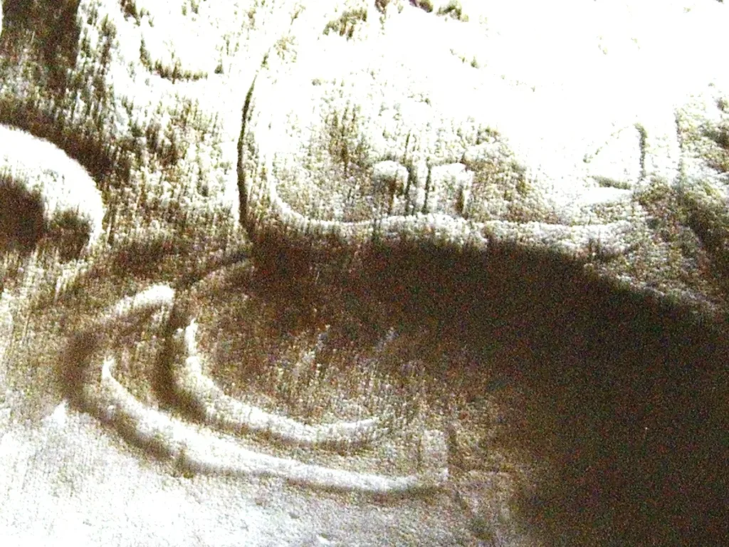 Dettaglio decorato in una domus di Montessu, fotografia del 2005