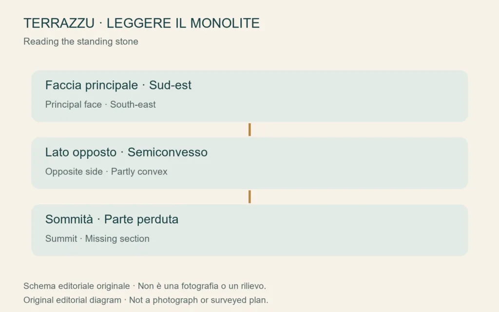 Schema originale dei caratteri documentati del menhir di Terrazzu