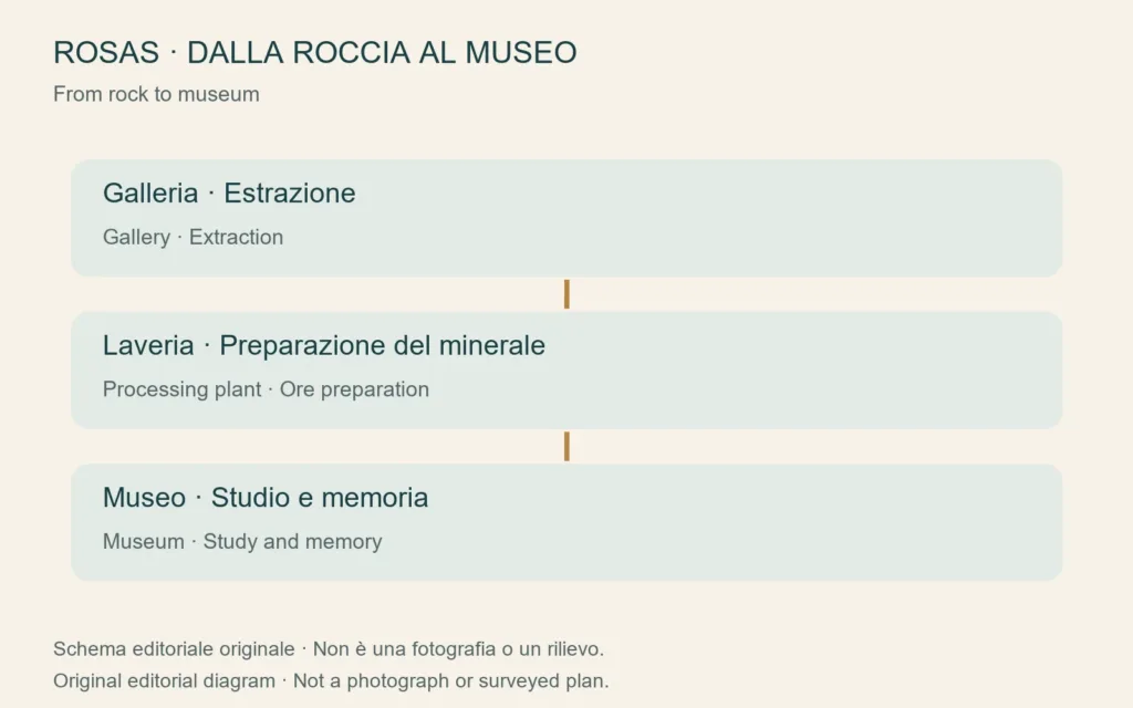Schema originale che collega estrazione, preparazione e conservazione museale a Rosas